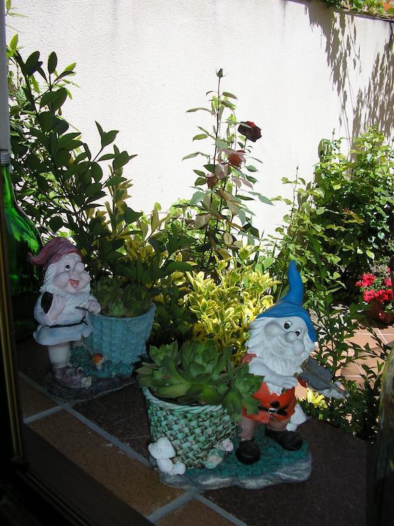 Casa De La Paca Panzió Coca Szoba fotó